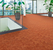 Flotex Colour Calgary 50*50 t 590005 Calgary Melon фото 2 | FLOORDEALER